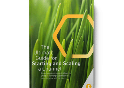 eBook – The Ultimate Guide to Starting and Scaling a Channel